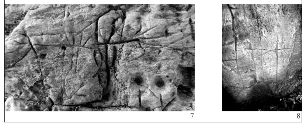 Fig. 4: 3) Masso con il petroglifo Omino del Sillara (foto F.M.P. Carrera); 4) Omino del Sillara; 5) passo del Cerreto: antropomorfo (da PRIULI, PUCCI 1994); 6) Grotta di Diana (MS): tabella degli antropomorfi sulla parete nord (elab. F.M.P. Carrera); 7) Grotta di Diana (MS): antropomorfo in maestà (foto A.M. Tosatti); 8) Grotta di Diana (MS): cruciformi (foto A.M. Tosatti)